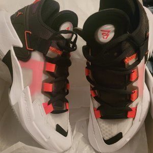 COPY - Jordan Why Not .5